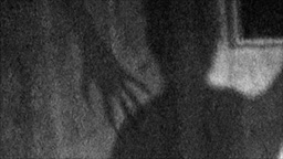Sheena and
                    hand shadow over her shoulder captured by infrared
                    camera